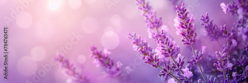 Vibrant violet lavender flowers against a soft purple backdrop. Generative AI