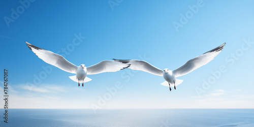 Two seagulls soaring gracefully in a clear blue sky  their synchronized flight patterns resembling a heart shape against the horizon.