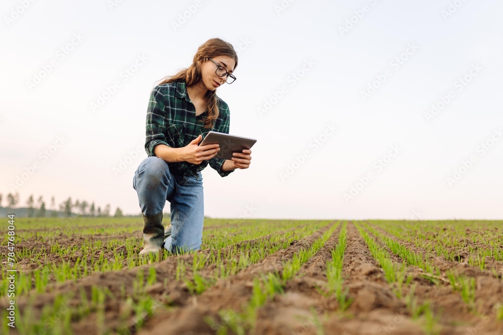 Woman Farmer on a green wheat field with a tablet in his hands. Organic green wheat in the field. Smart farm. Agro business. Harvesting. Woman Farmer on a green wheat field with a tablet in his hands. Organic green wheat in the field. Smart farm. Agro business. Harvesting.