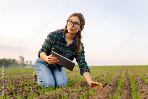 Woman Farmer on a green wheat field with a tablet in his hands. Organic green wheat in the field. Smart farm. Agro business. Harvesting.