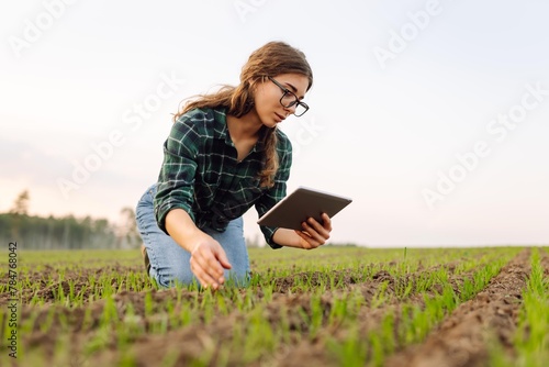 Woman Farmer on a green wheat field with a tablet in his hands. Organic green wheat in the field. Smart farm. Agro business. Harvesting. © maxbelchenko