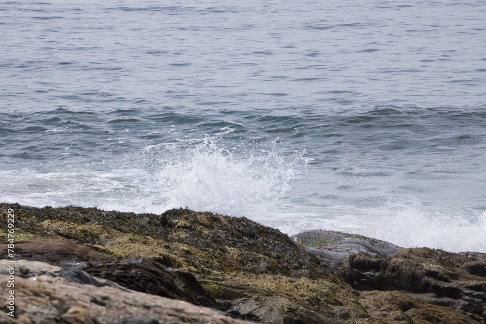 Fototapeta premium Ocean waves on a rocky shore