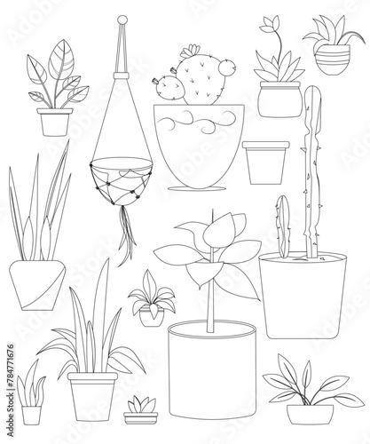 Set of plants in doodle style. Exotic houseplants flowerpot for interior. Urban jungle indoor blooming plants inpot. Vector isolated in white background photo