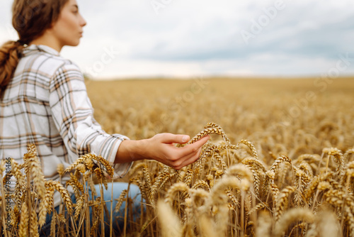 Woman  farmer checking the quality of wheat grain on the spikelets at the field. Woman farm worker touches the ears of wheat to assure that the crop is in good condition. Agriculture, business, harves photo