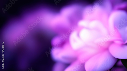 magic soft  background with  light  and  blooming  flowers