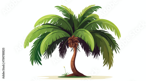 Vector illustration a green tropical palm tree on a