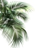 3D rendering of a realistic palm leaves shrub in the corner of the image, showcasing the intricate details of each leaf.