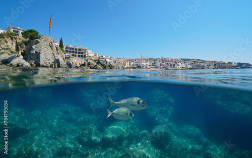 Spain town on the Mediterranean coast seen from sea surface with fish underwater, natural scene, split view half over and under water surface, Calella de Palafrugell, Costa brava