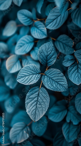 A close up of a leaf with a blue hue