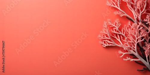 Coral background with dark coral paper on the right side, minimalistic background, copy space concept, top view, flat lay, high resolution photography, stock photo, professional color grading