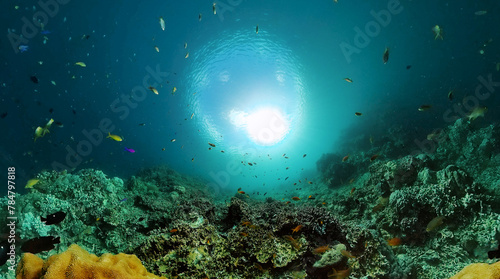 Coral reef and marine fish. Beautiful coral reef with colorful fish. Underwater world background.