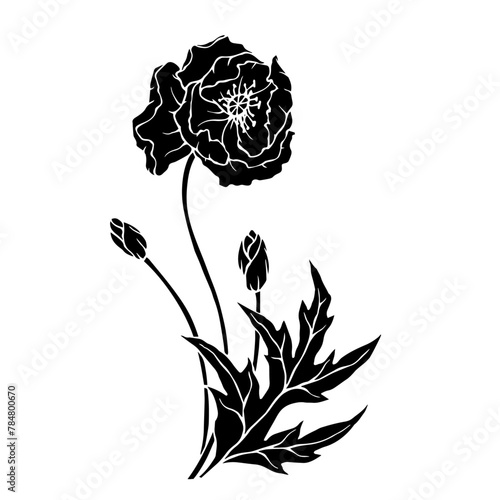 Silhouette of a wildflower poppy. Vector graphics.
