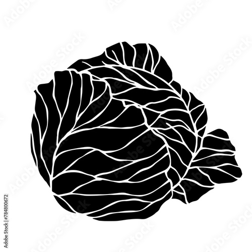 Botanical silhouette, white cabbage stamp. Vector graphics.