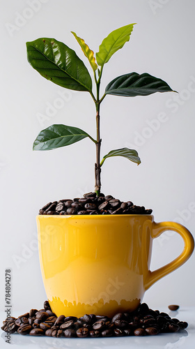 Isolate yellow coffee cup with full of coffee beans and the sapling growing up in the white background, world earth day