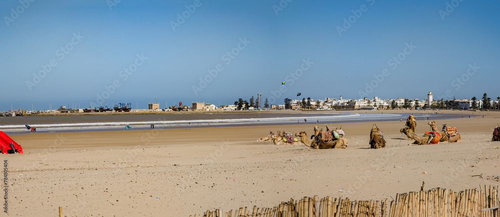 Panoramic view at Essaouira in Morocco on a sunny day