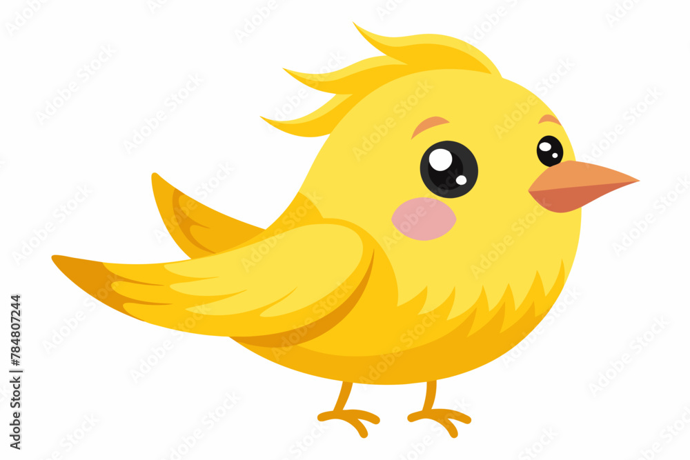 canary bird vector illustration canary bird vector illustration