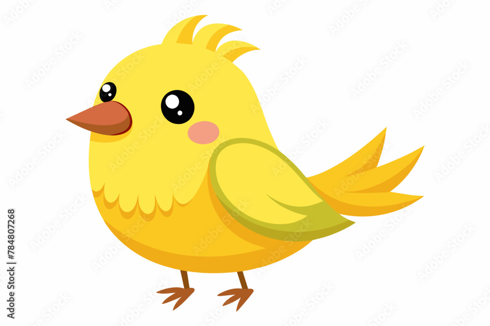 canary bird vector illustration