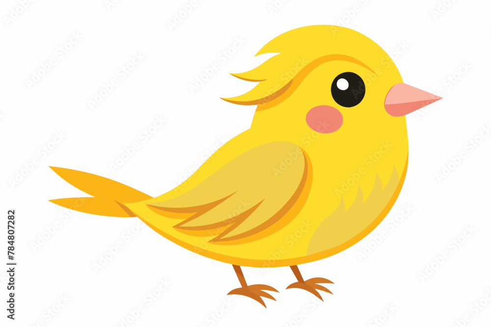 canary bird vector illustration canary bird vector illustration