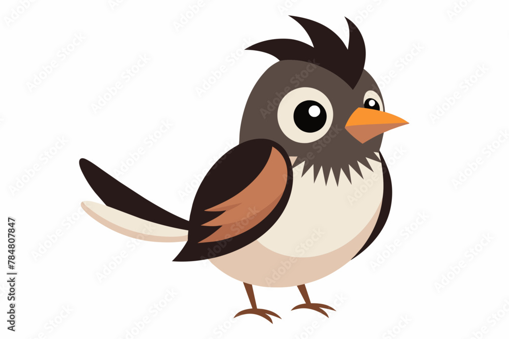bulbul bird vector illustration bulbul bird vector illustration