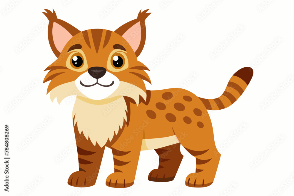 bobcat cat vector illustration bobcat cat vector illustration