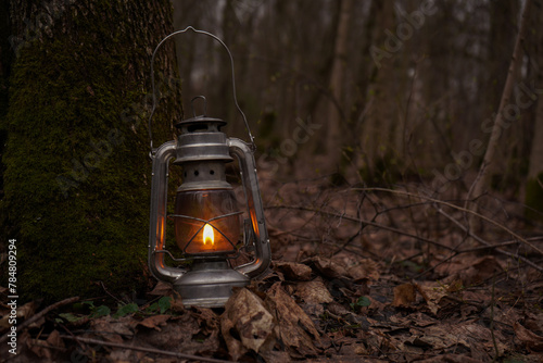 Wallpaper Mural A kerosene lantern shines near a mossy tree  , Halloween fairy tale atmosphere Torontodigital.ca