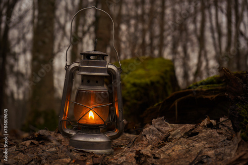 Fantasy kerosene lantern shining in green moss