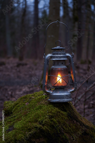 A kerosene lantern shines near a mossy tree