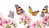 butterflies on pink flowers isolated on white background. macro , Generative ai,