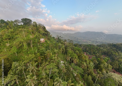 Cottage wooden in the jungle on the island of Bali in Indonesia