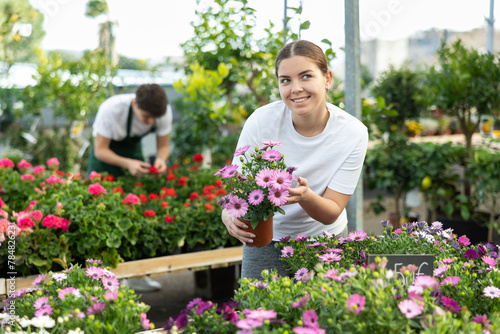 Smiling interested young girl choosing blooming potted African daisy with bright purple flowers in greenhouse to decorate country house in spring