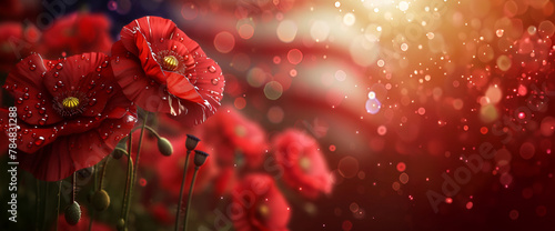 Poppies with dewdrops, a tribute for Memorial Day observance. Copy space