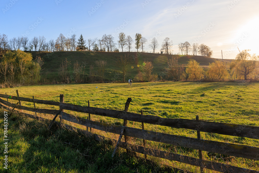 Fototapeta premium A fence separates a field from a forest
