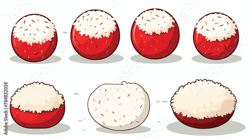 Vector image rice ball icons on white background wi photo