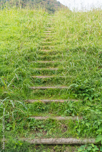 雑草で覆われた階段道
