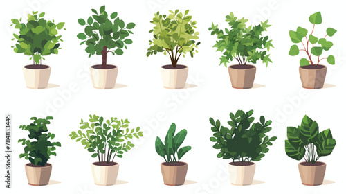 Vector image set of 15 image of bushes in pots with