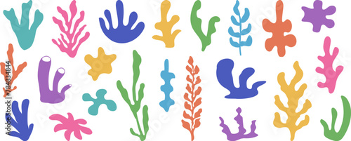 Coral icon  seaweed. Abstract organic shape  underwater plant  matisse element  cute colorful sea doodle. Cartoon marine floral collage isolated on white background. Minimal vector illustration