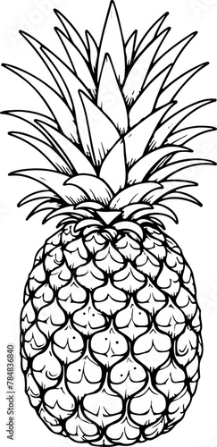 Ananas avec sa tige et feuilles. Fruit isolé pour page ou livre de coloriage adapté adulte ou enfant, dessin au trait et fond totalement transparent 