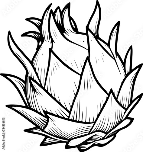 Fruit du dragon isolé pour page ou livre de coloriage adapté adulte ou enfant, dessin au trait et fond totalement transparent 