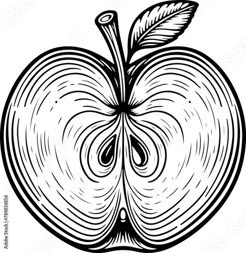 Pomme coupée en deux vue de l'intérieur et des pépins. Fruit isolé pour page ou livre de coloriage adapté adulte ou enfant, dessin au trait et fond totalement transparent 