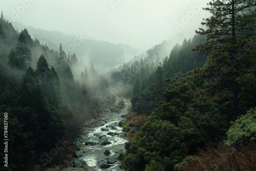a river runs through a forest with trees and fog.