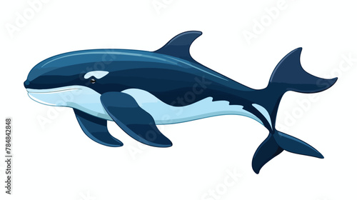 Vector of whale illustration marine life oceanic gr