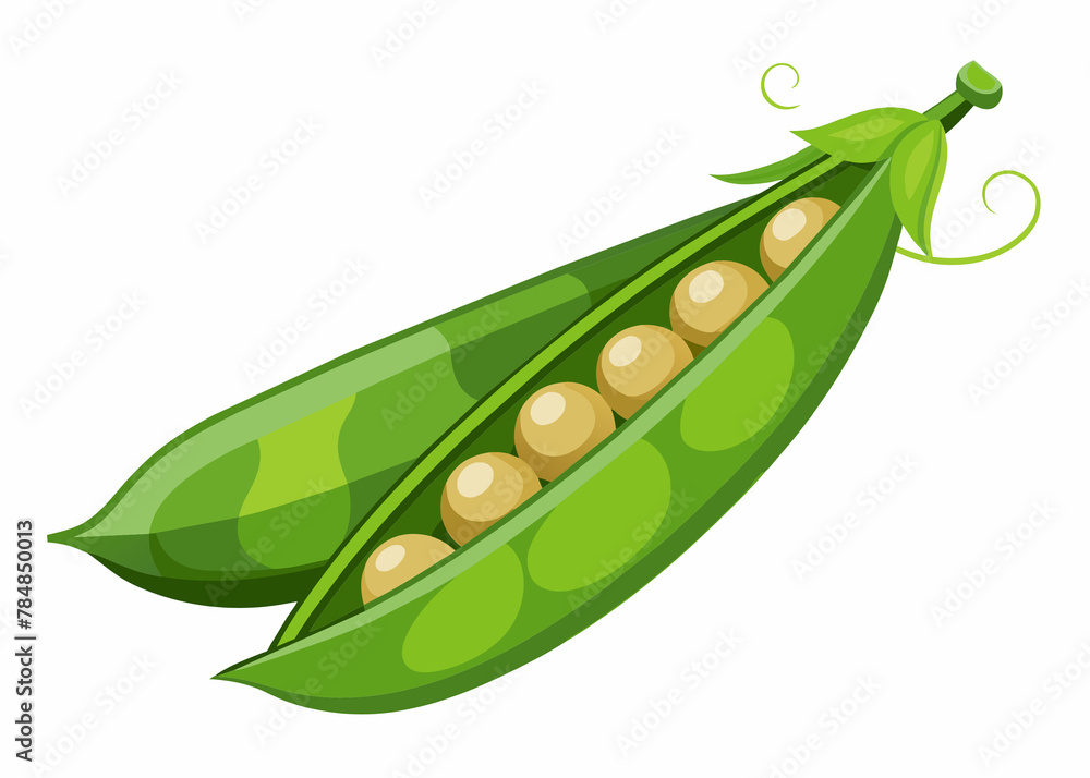 Pea pod icon. Cartoon illustration of peas pod vector icon for web Pea pod icon. Cartoon illustration of peas pod vector icon for web