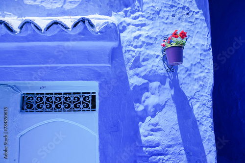青い壁と青い扉と赤い花が咲いた鉢 © KTK Creatives