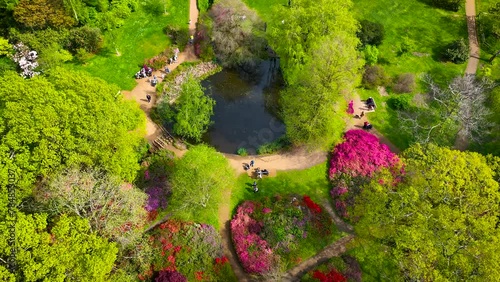 View of the Isabella Plantation, a beautiful woodland garden in Richmond, best known for its evergreen azaleas, ponds and streams, London, UK photo