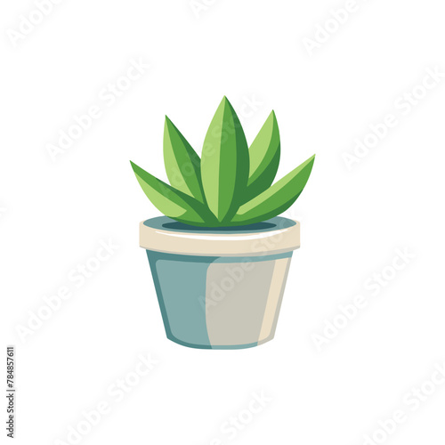 Aloe in a pot. illustration House plant for home or office decor