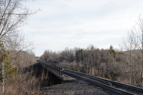 railway in the forest
