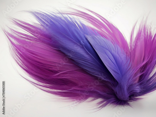 Dreamy hues: Delicate purple feathers 