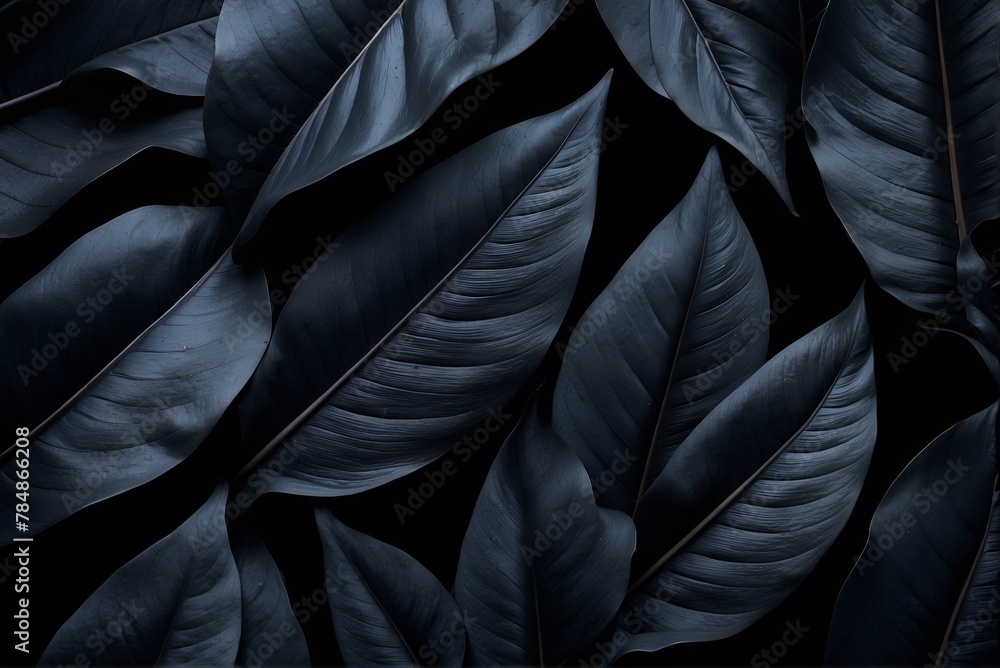 Obraz premium Textures of abstract black leaves for tropical leaf background. Flat lay, dark nature concept, tropical leaf, luxury