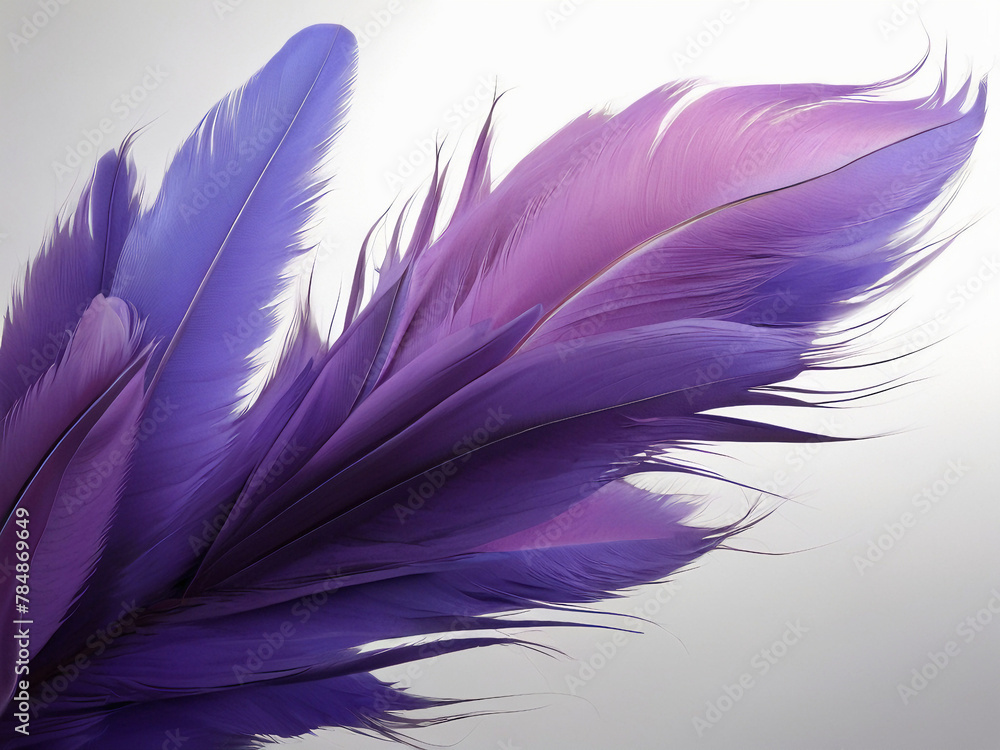 Obraz premium purple feather on black background