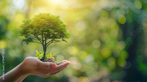 Growing tree to save ecological sustainability, sustainable environment, and corporate social responsibility CSR in nature concept with tree on volunteer's hand